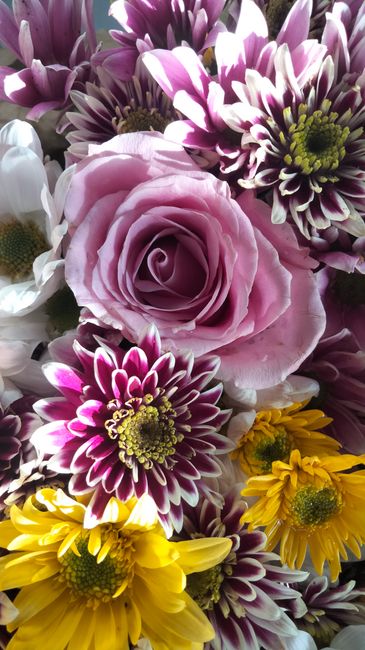 A close-up image of a vibrant floral bouquet featuring soft pink roses with delicate, layered petals, surrounded by purple and white striped chrysanthemums with spiky petals and bright yellow daisies 